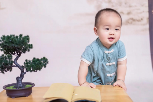 三亚可爱的企鹅宝宝